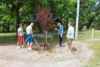 Seth's dad filling the hole we dug for the tree with water.  Brett, Rob, and Seth stand around him holding shovels waiting.