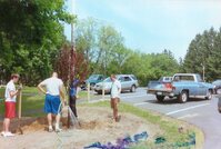 Seth's dad filling the hole we dug for the tree with water.  Brett, Rob, and Seth stand around him holding shovels waiting.